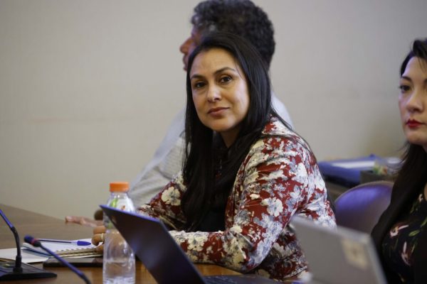 DIPUTADA FRANCESCA MUÑOZ ASUME CÓMO PRESIDENTA DE LA COMISIÓN DE FAMILIA DE LA CÁMARA DE DIPUTADOS/AS.